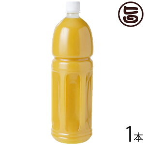 nm ꌧYV[N[T[ʏ`100% 1500ml×1{  yY lC V[N[T[ W[X 썑t[c hN mr`