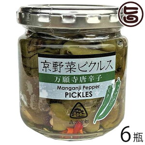 snol̗ ؃sNX 莛hq 120g×6r r s lC yY  Е