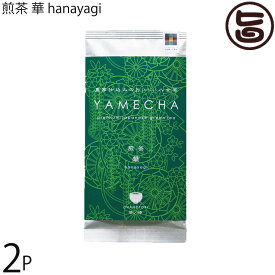 原田茶園 煎茶 華 hanayagi 100g×2袋 福岡県