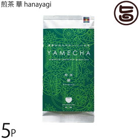 原田茶園 煎茶 華 hanayagi 100g×5袋 福岡県