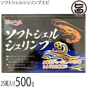 \tgVFVvGr kƃpNƃGr 500g 25×1