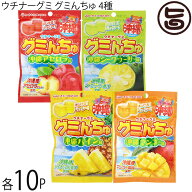 ウチナーグミ グミんちゅ パイン味 マンゴー味 アセロラ味 シークヮサー味 各40g×各10セット
