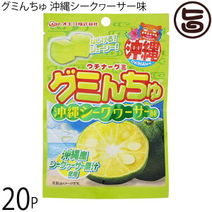 ILR E`i[O~ O~񂿂 V[N[T[ 40g×20P