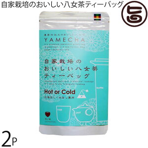 c ƍ͔|̂eB[obO 4g×20×2P