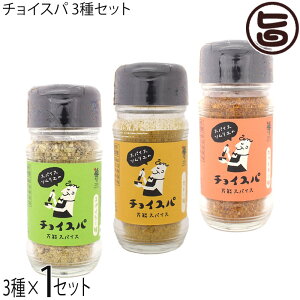 X[vJ[X T `CXp XpC[V[ J[ zbg` 40g 3×1Zbg