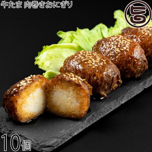 ɂ܍H[Loin  ɂ 95g×10