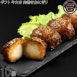 Mtg ɂ܍H[Loin  ɂ 95g×10