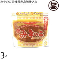 みそのこ食品 みそのこ 沖縄県産島豚仕込み 200g×3個