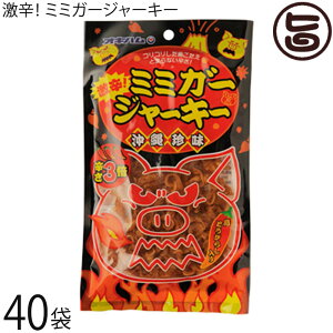 ILn hI~~K[ W[L[ 23g×40  yY lC   ܂ ؎ RRH l̒