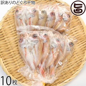 シーライフ 山陰沖産 訳ありのどぐろ干物 10枚