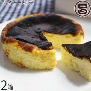 glacier ALICE oXN`[YP[L 4×2