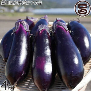 ���m���Y���|�i�XA�i 4kg
