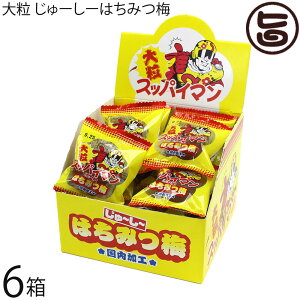 ��ԉَq�X �X�b�p�C�}�� �嗱 ����[���[ �͂��݂~ 10g×18����×6��