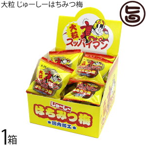 ��ԉَq�X �X�b�p�C�}�� �嗱 ����[���[ �͂��݂~ 10g×18����×1��