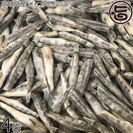 アジアマリン 高知県産 メヒカリドレス バラ凍結 1kg×4袋