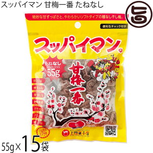 ԉَqX XbpC} Ô~ ˂Ȃ 55g×15