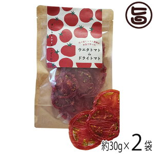 EG^g}g g}g_Ƃ{Cō EG^g}g de hCg}g 30g×2 m yY  hC Rs g}g15{