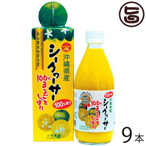 _ V[N[T[ʏ`100 360ml ܂邲Ƃڂ×9{  lC yY Xg[gW[X ꌧYV[N[T[gp