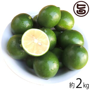 ���ꌧ�Y �O���[�������� 2kg 20�`40�� ���{�� ���� �y�Y ������ �ʕ� ���b�N�X�E�h���ܕs�g�p