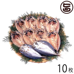 Mtg ͂犔 Δn܌^ꎬJ 70g×10 茧Y VR ꎬ {ɊlꂽAW }