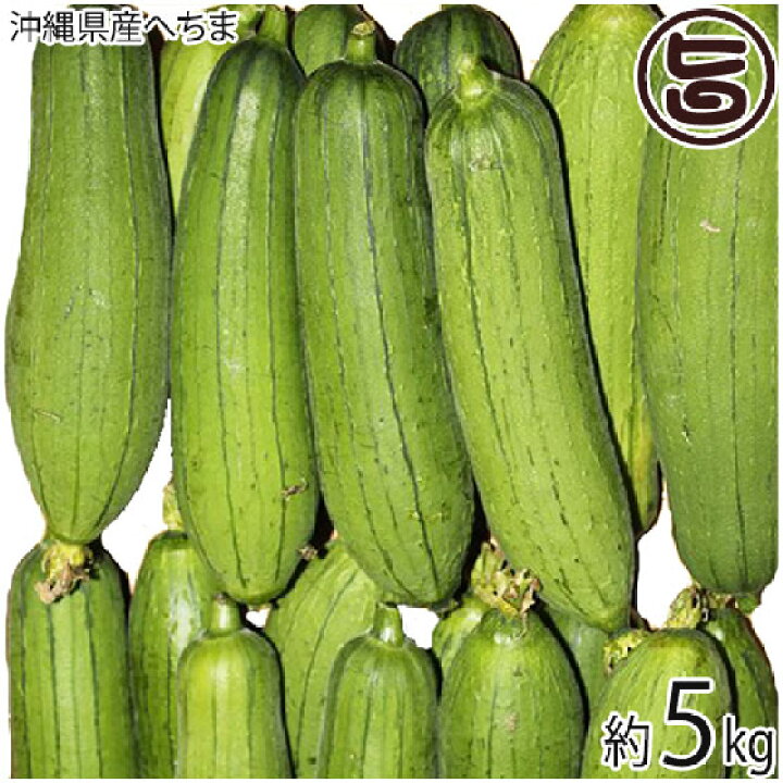楽天市場 沖縄県産 へちま ナーベラー 5kg 沖縄 お取り寄せ 野菜 食用ヘチマ 送料無料 旨いもんハンター 楽天市場 沖縄県産 へちま ナーベラー 5kg 沖縄 お取り寄せ 野菜 食用ヘチマ 送料無料 旨いもんハンター