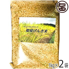 Buu Fuu Uuu 大阪府産 環境げんき米 玄米1kg×2P 国産 お取り寄せ 玄米