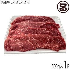 jR}[g WH Ԃԗp 500g×1P Y WHY 