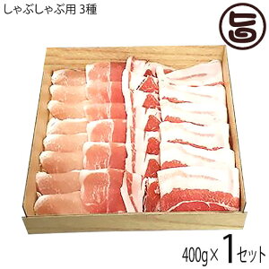 Mtg ₦܃t@[ AO[(F1) ʓ Ԃԗp Hׂ 3Zbg 400gi[X100g [X100g o200gj Ί_IMtg