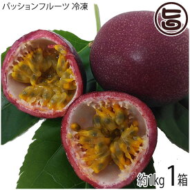 サンチャイルド農園 沖縄県産 パッションフルーツ 冷凍 約1kg 13～16玉×1箱