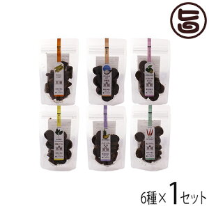 _CEY ꍕ6Zbg e1P fނ̖𐶂Dǂ