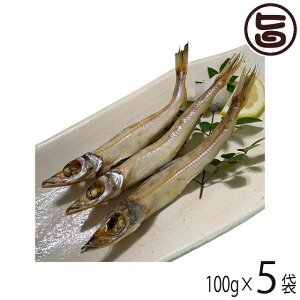 xX  LX 100g×5܃Zbg cs g  DHA EPA