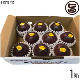 【期間限定】ギフト 贈答用 パッションフルーツ 1箱 8〜12玉入り 国産 沖縄 南国フルーツ 果物 贈り物