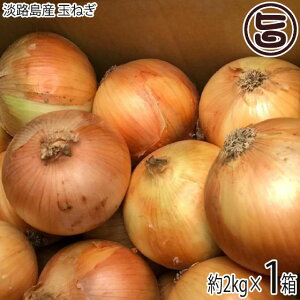 jR}[g WHY ʂ˂ 2kg×1 TCY ɌWHY ʔK ܂˂ ^}lM  傫 s