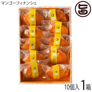 Mtg CG^[eCg }S[XC[cX }S[tBiVF 10×1