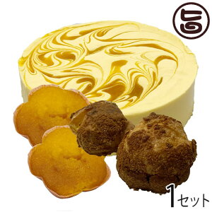 マンゴーづくし フロマージュ シュークリーム チーズタルト 3種詰合せ