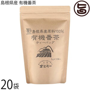 O Y L@Ԓ 5g×12P×20