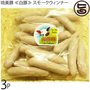tbV~[gȂ R؁i؁j X[NEBi[ 500g×3P