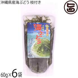 県産海ぶどう枝付き 60g×6袋