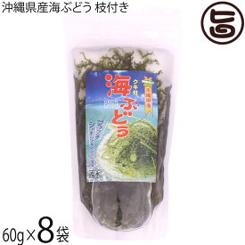 県産海ぶどう枝付き 60g×8袋