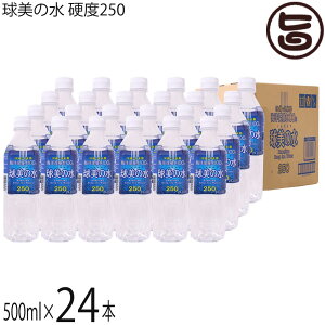 vēCm[wJ ̐ dx 250 500ml×24{