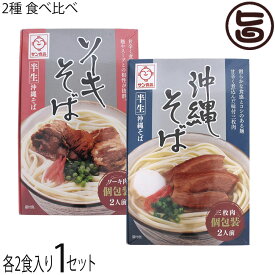 サン食品 半生 沖縄そば 半生 ソーキそば 食べ比べ 2食×1セット ギフト箱入り
