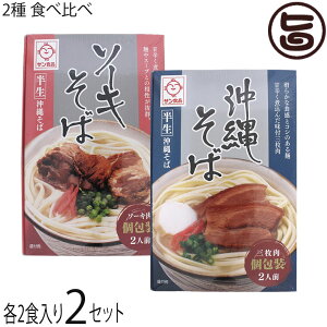 サン食品 半生 沖縄そば 半生 ソーキそば 食べ比べ 2食×2セット ギフト箱入り