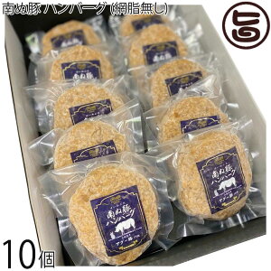 Mtg ₦܃t@[ AO[(F1) ʓ no[O 10Zbg (Ԏ)