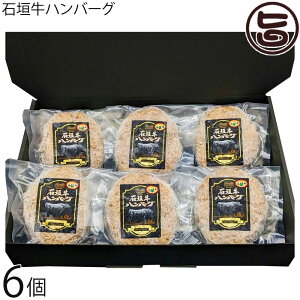 Mtg ₦܃t@[ Ί_no[O 120g×6Zbg