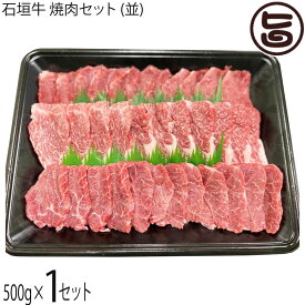やえやまファーム 石垣牛 焼肉セット (並) 500g×1P