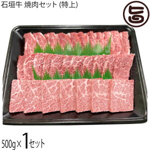 ₦܃t@[ Ί_ ēZbg () 500g×1P