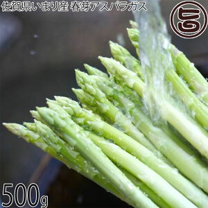 ߂ނ_ ꌧ܂Y tAXpKX 500g