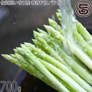 ߂ނ_ ꌧ܂Y tAXpKX 700g