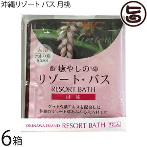 ER̔ ꃊ][g oX  30g×3×6