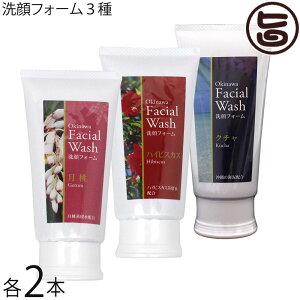 ER̔ tH[ N` nCrXJX  100g 3×2{Zbg